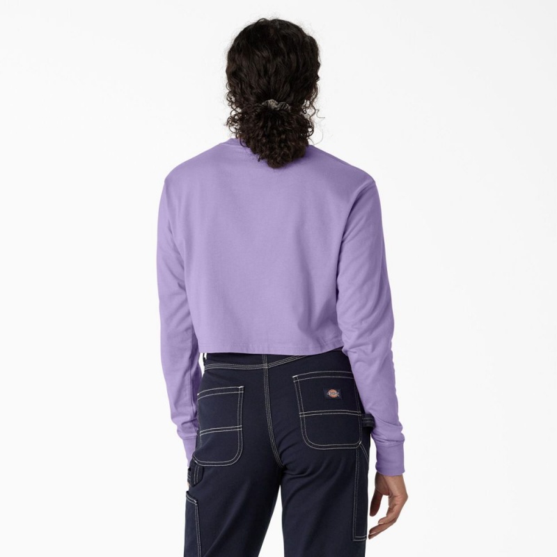 Purple Women's Dickies Butterfly Graphic Long Sleeve Cropped T-Shirt | IDG578401