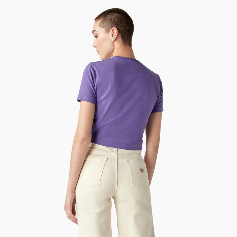 Purple Women's Dickies Garden Plain Cropped T-Shirt | ISK980165