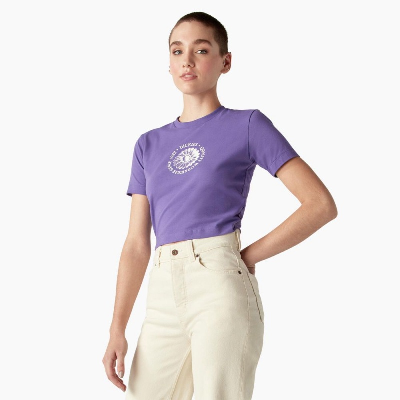 Purple Women's Dickies Garden Plain Cropped T-Shirt | ISK980165