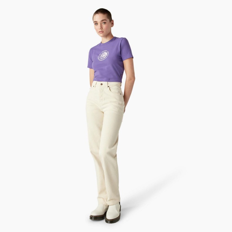 Purple Women's Dickies Garden Plain Cropped T-Shirt | ISK980165