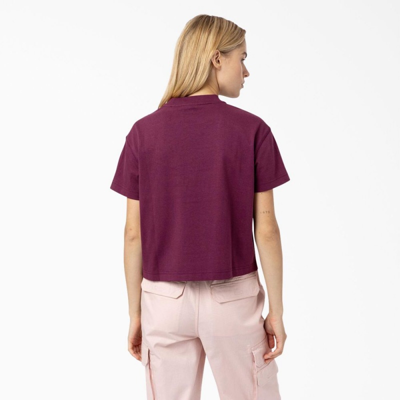 Purple Women's Dickies Loretto Cropped T-Shirt | VWS912754