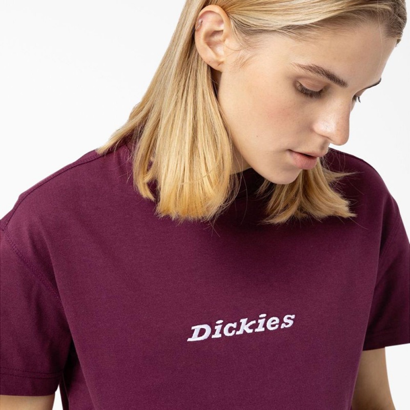 Purple Women's Dickies Loretto Cropped T-Shirt | VWS912754