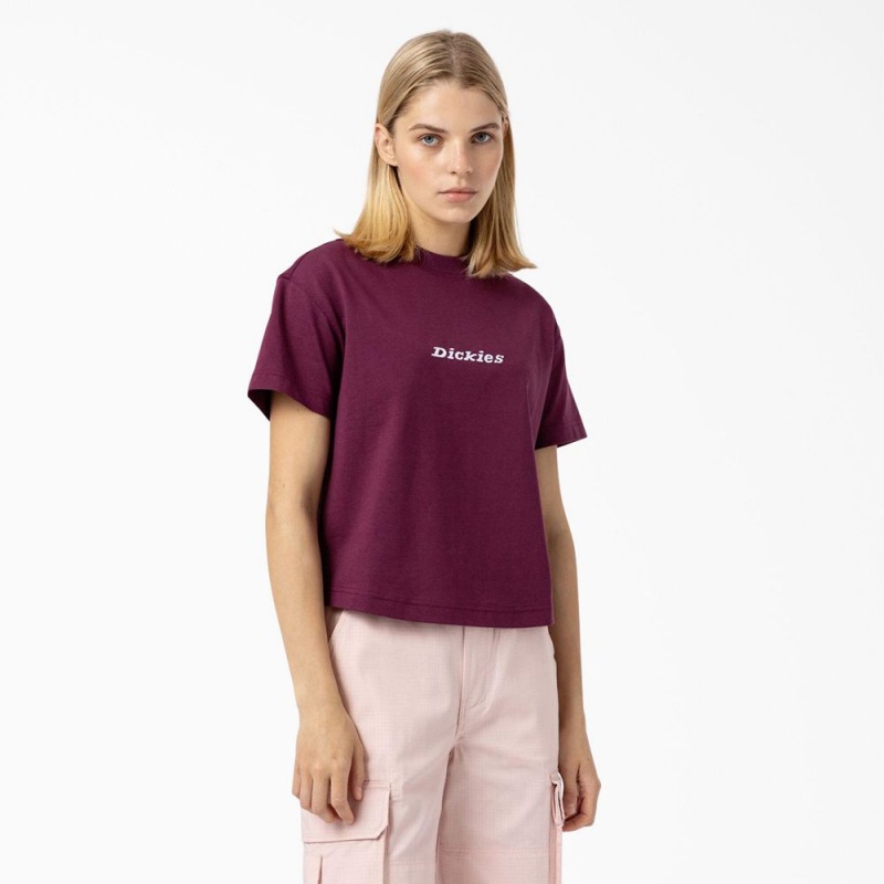 Purple Women\'s Dickies Loretto Cropped T-Shirt | VWS912754