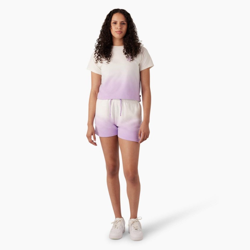 Purple Women's Dickies Relaxed Fit Ombre Knit Shorts | UYB095172