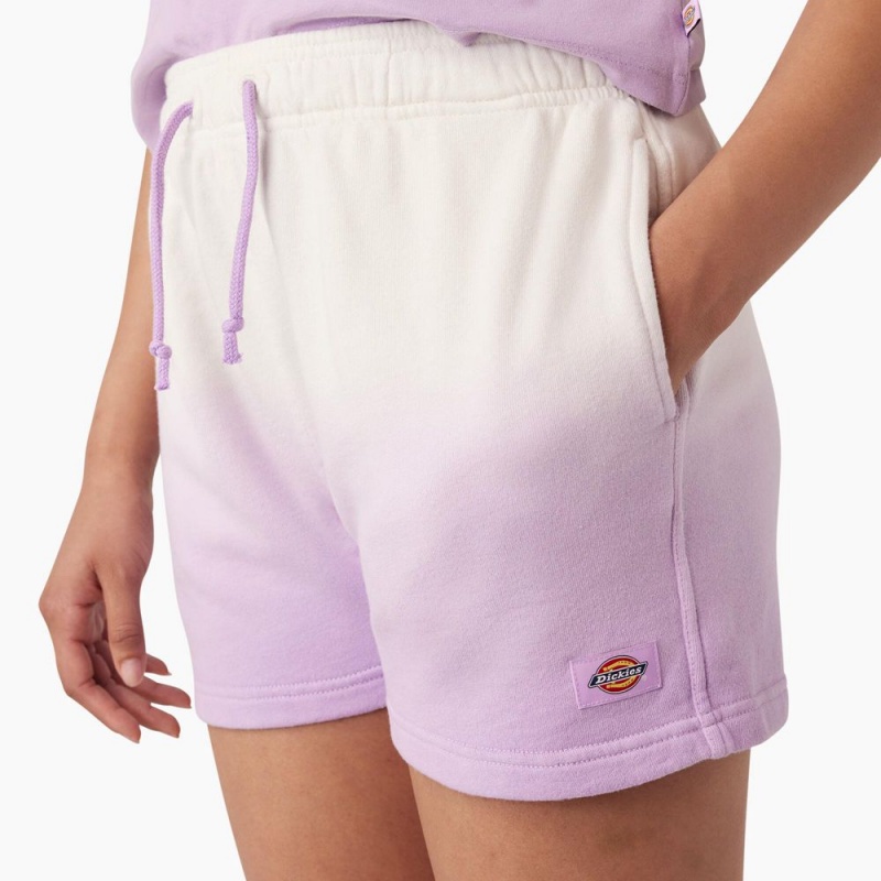 Purple Women's Dickies Relaxed Fit Ombre Knit Shorts | UYB095172