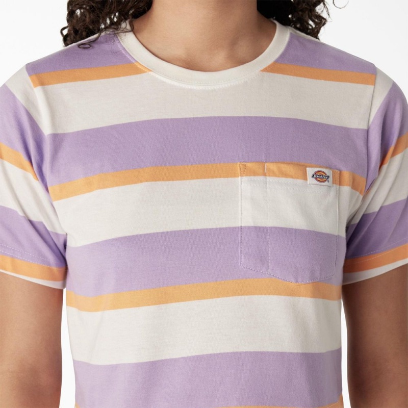 Purple Women's Dickies Striped Cropped Pocket T-Shirt | HMG810596