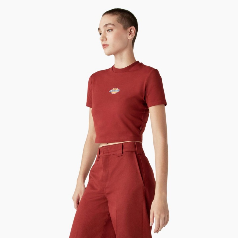 Red Women's Dickies Maple Valley Logo Cropped T-Shirt | WMB835024