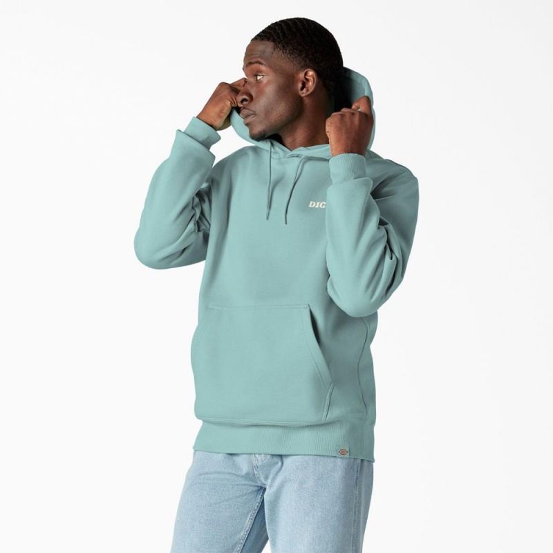 Turquoise Men's Dickies Hays Graphic Hoodie | WUX509783