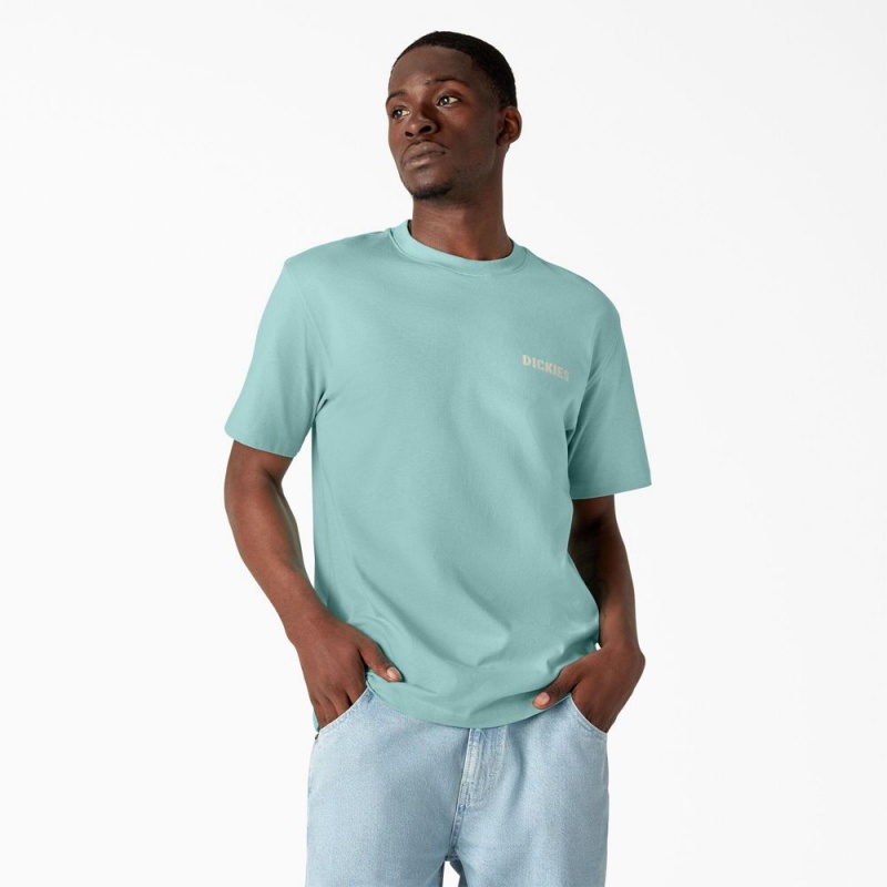 Turquoise Men's Dickies Hays Graphic T-Shirt | CQP569407