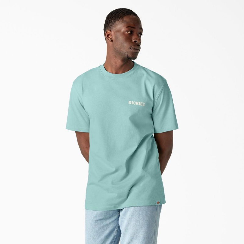 Turquoise Men's Dickies Hays Graphic T-Shirt | CQP569407