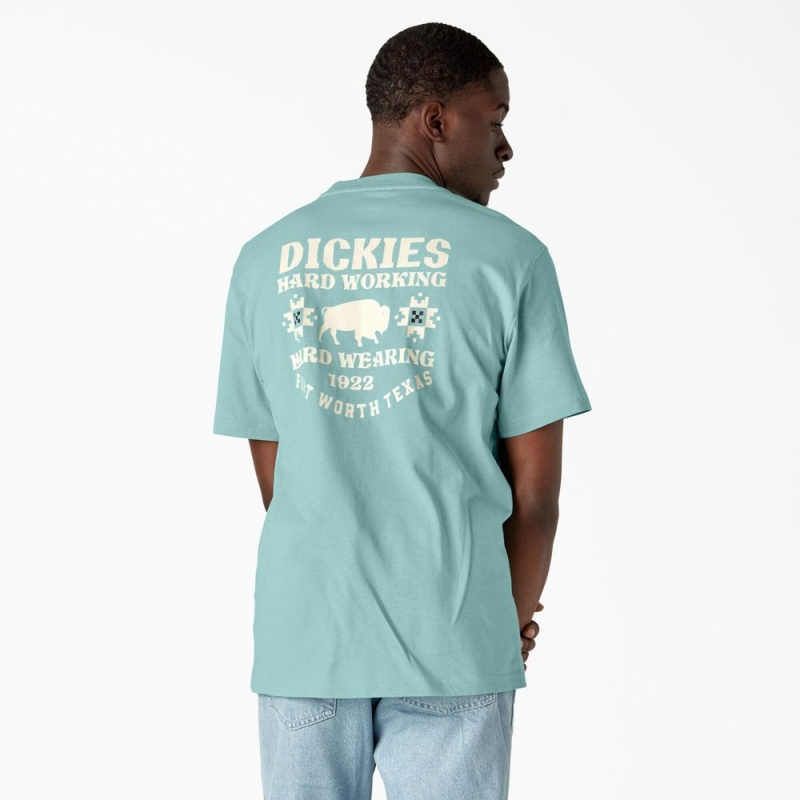 Turquoise Men\'s Dickies Hays Graphic T-Shirt | CQP569407