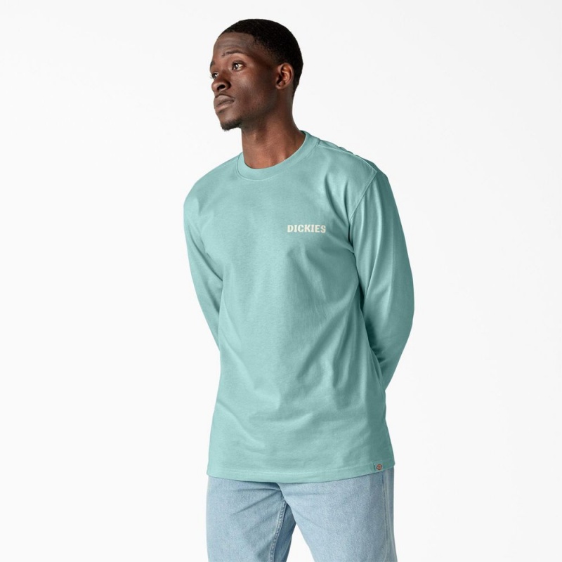 Turquoise Men's Dickies Hays Long Sleeve Graphic T-Shirt | BAD206345