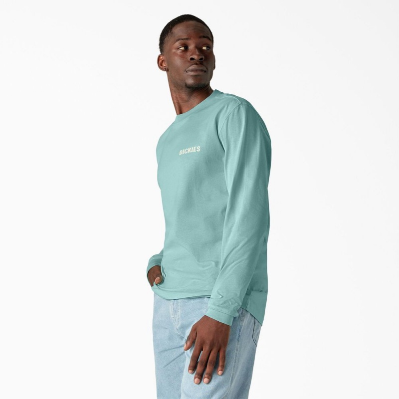 Turquoise Men's Dickies Hays Long Sleeve Graphic T-Shirt | BAD206345