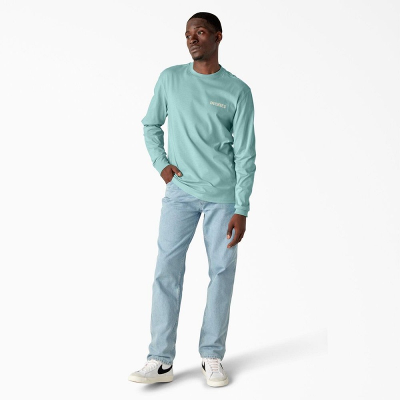 Turquoise Men's Dickies Hays Long Sleeve Graphic T-Shirt | BAD206345