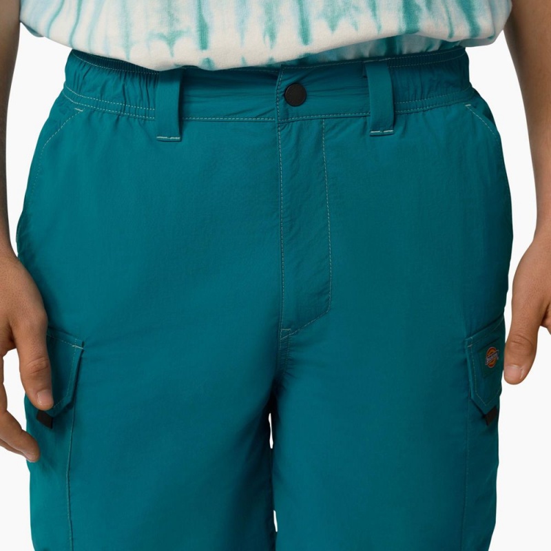 Turquoise Men's Dickies Jackson Regular Fit Cargo Shorts | UKC576943