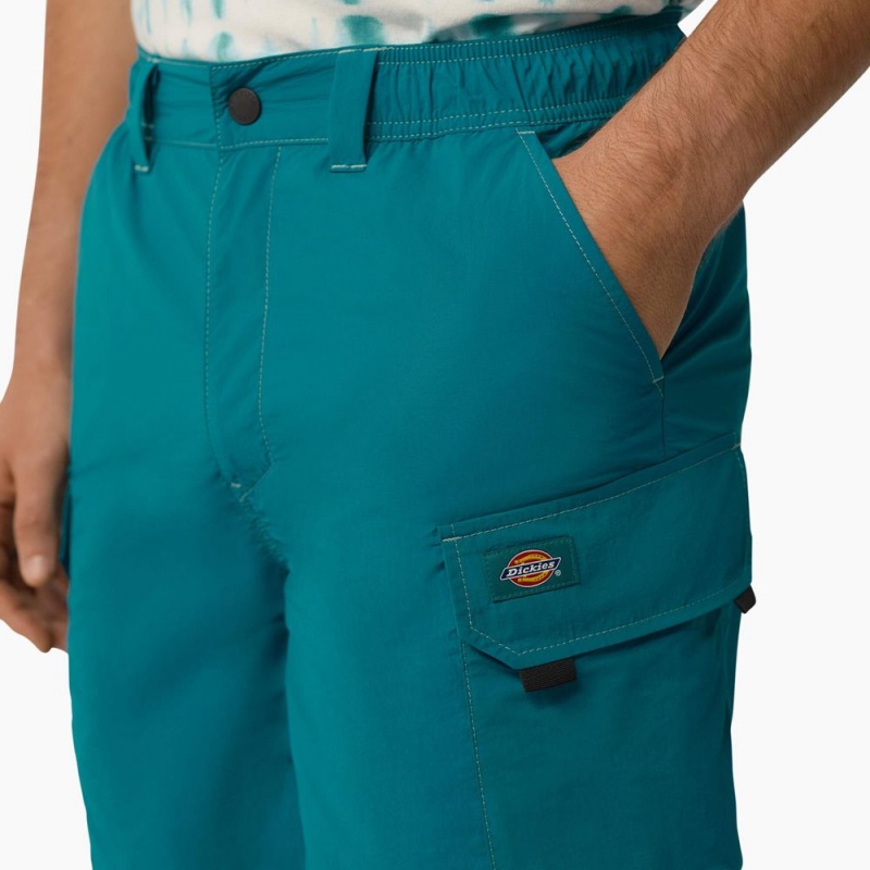 Turquoise Men's Dickies Jackson Regular Fit Cargo Shorts | UKC576943