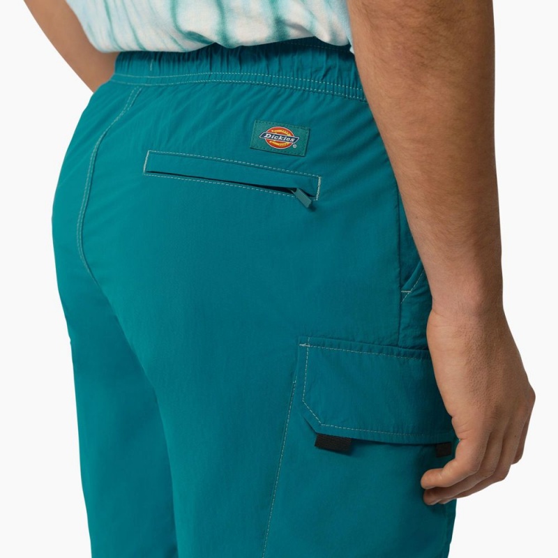 Turquoise Men's Dickies Jackson Regular Fit Cargo Shorts | UKC576943