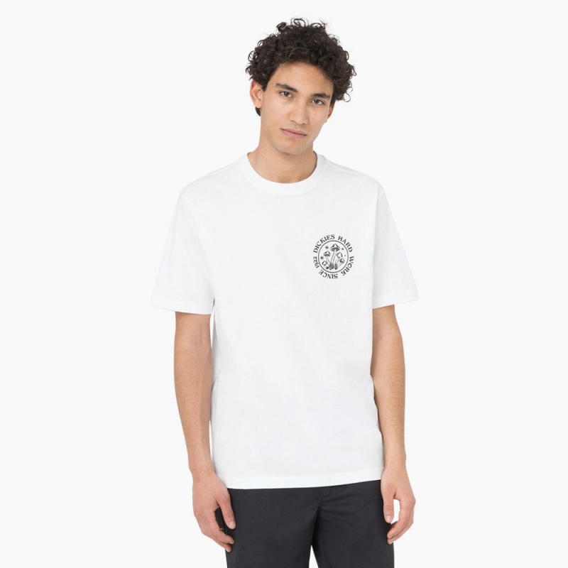 White Men's Dickies Bayside Gardens Short Sleeve T-Shirt | XMC793462