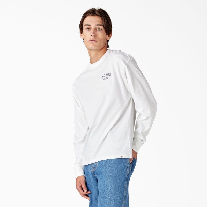 White Men's Dickies Garden Plain Graphic Long Sleeve T-Shirt | SKY140259