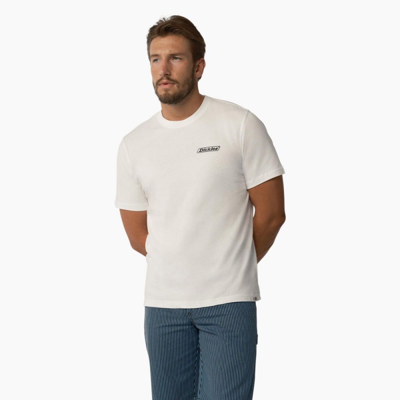 White Men's Dickies Roseburg Short Sleeve T-Shirt | TYB523784