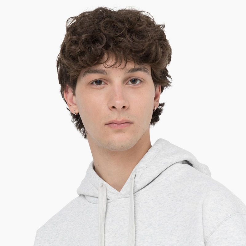 White Men's Dickies Summerdale Hoodie | BGD391706