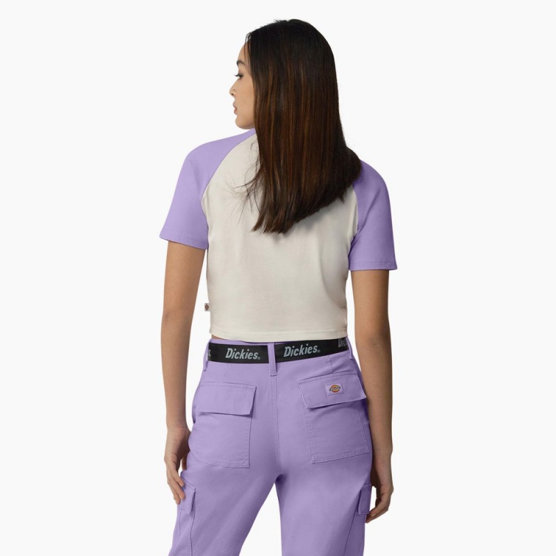 White Women's Dickies Sodaville Cropped T-Shirt | EAS708459