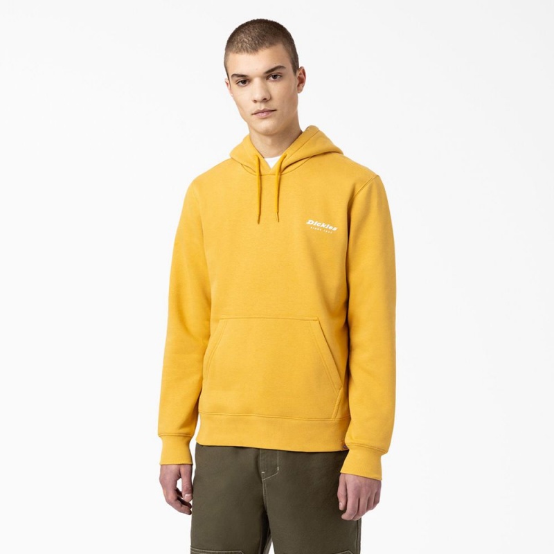 Yellow Men's Dickies Camden Box Graphic Hoodie | WZL820593