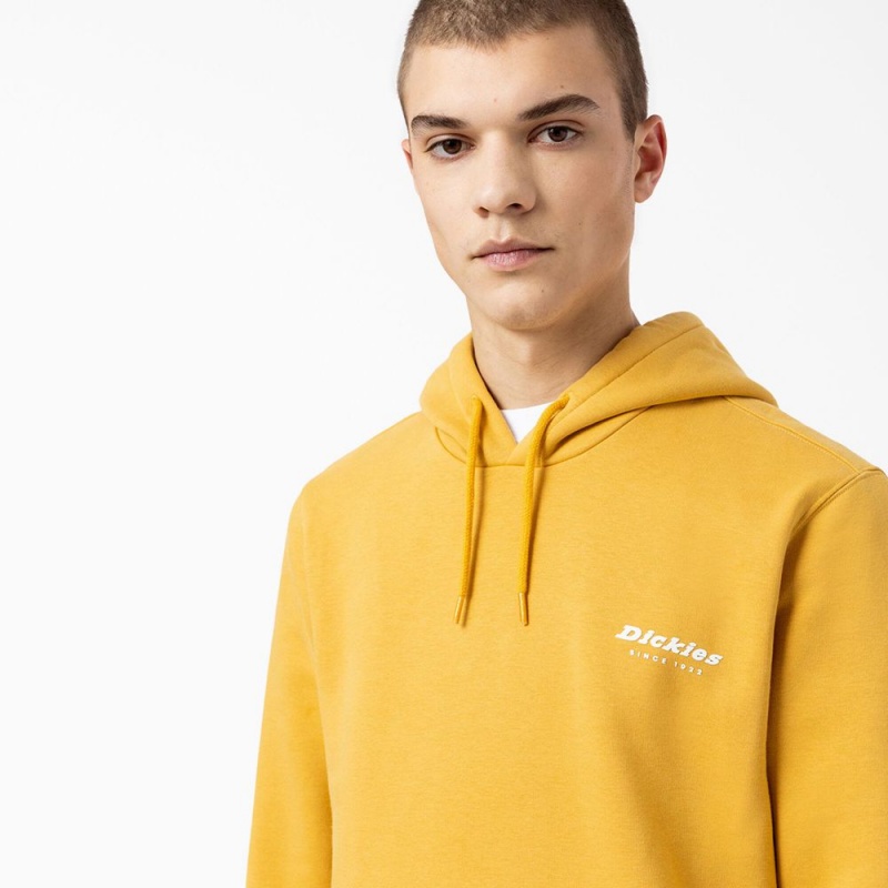 Yellow Men's Dickies Camden Box Graphic Hoodie | WZL820593