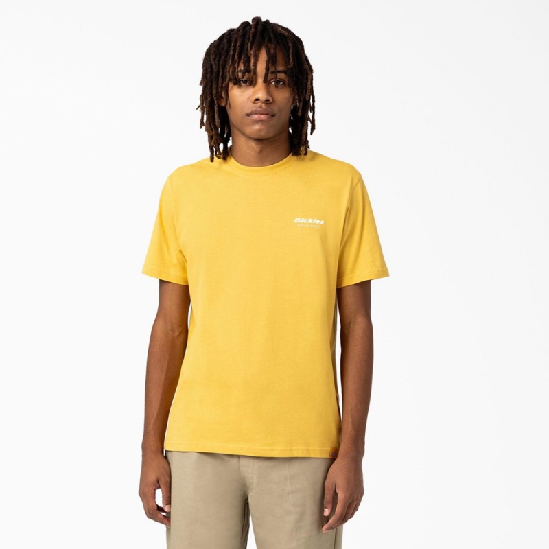 Yellow Men's Dickies Camden Box Graphic T-Shirt | JBP403195