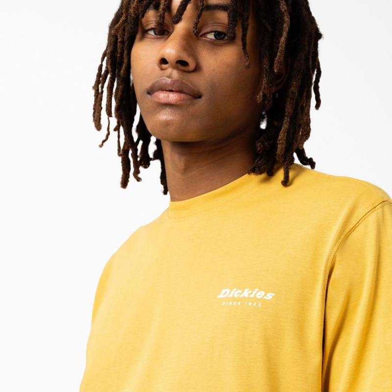 Yellow Men's Dickies Camden Box Graphic T-Shirt | JBP403195