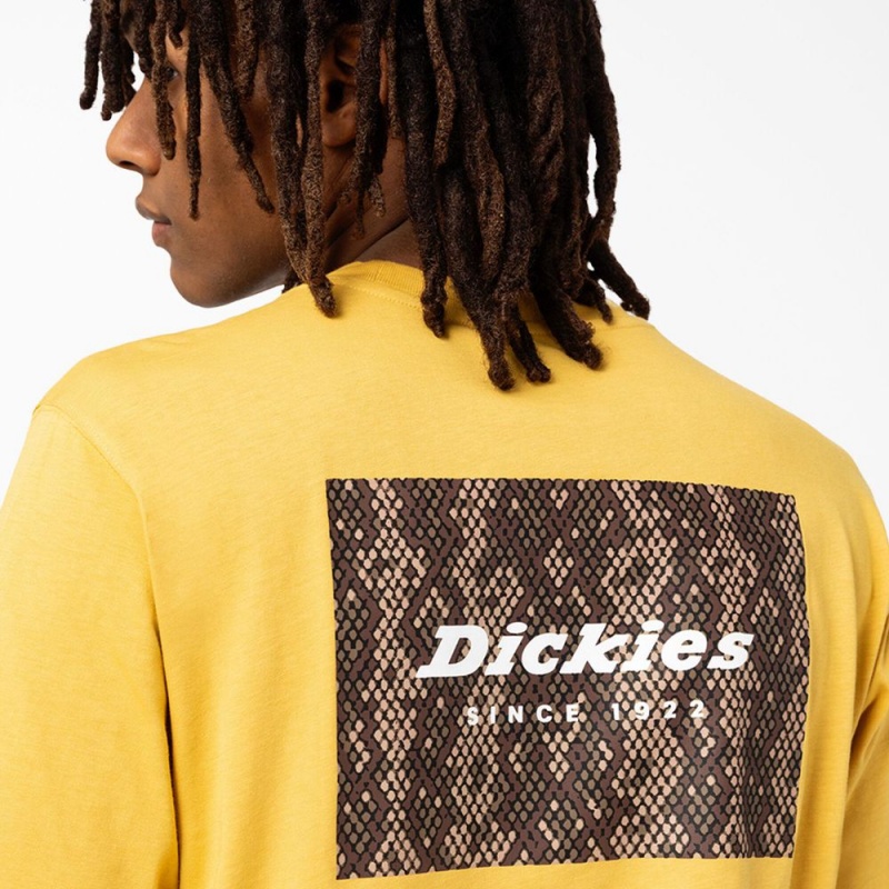 Yellow Men's Dickies Camden Box Graphic T-Shirt | JBP403195