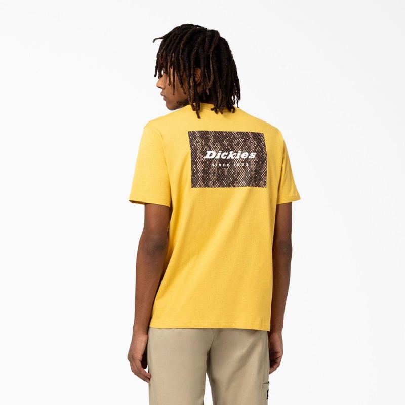 Yellow Men\'s Dickies Camden Box Graphic T-Shirt | JBP403195