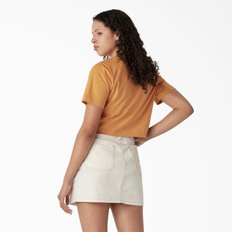 Yellow Women's Dickies Desert Graphic Cropped T-Shirt | TOP086425