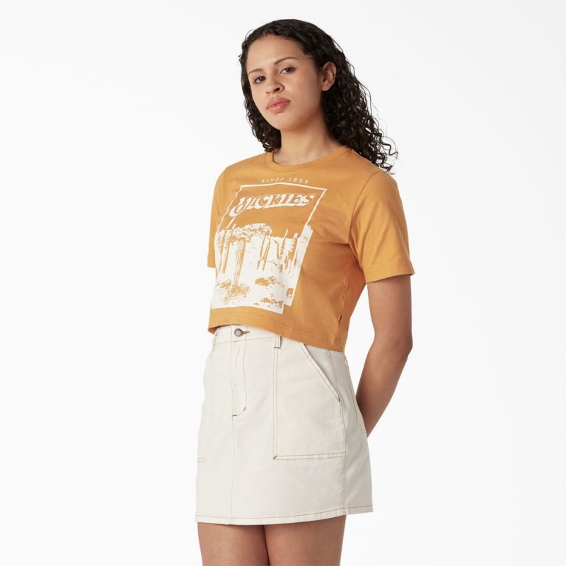 Yellow Women's Dickies Desert Graphic Cropped T-Shirt | TOP086425