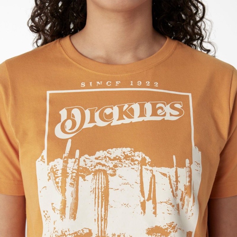 Yellow Women's Dickies Desert Graphic Cropped T-Shirt | TOP086425