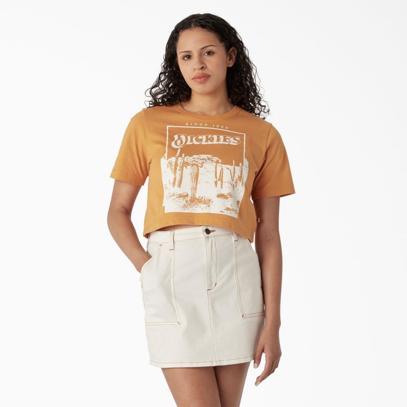 Yellow Women\'s Dickies Desert Graphic Cropped T-Shirt | TOP086425