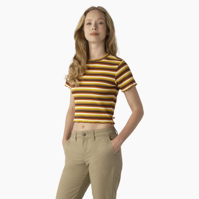 Yellow Women's Dickies Striped Cropped Baby T-Shirt | ROM647325