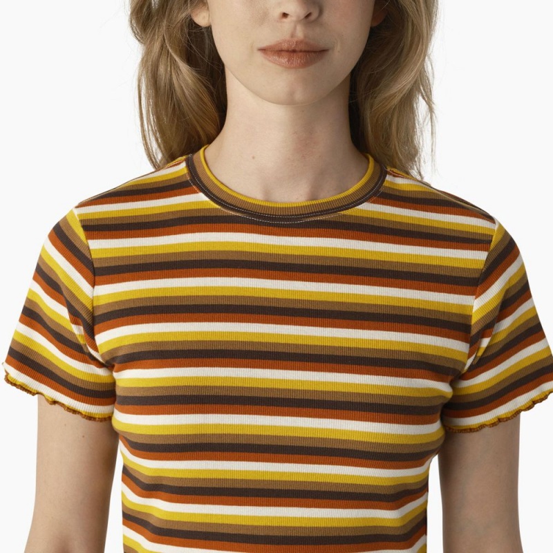 Yellow Women's Dickies Striped Cropped Baby T-Shirt | ROM647325