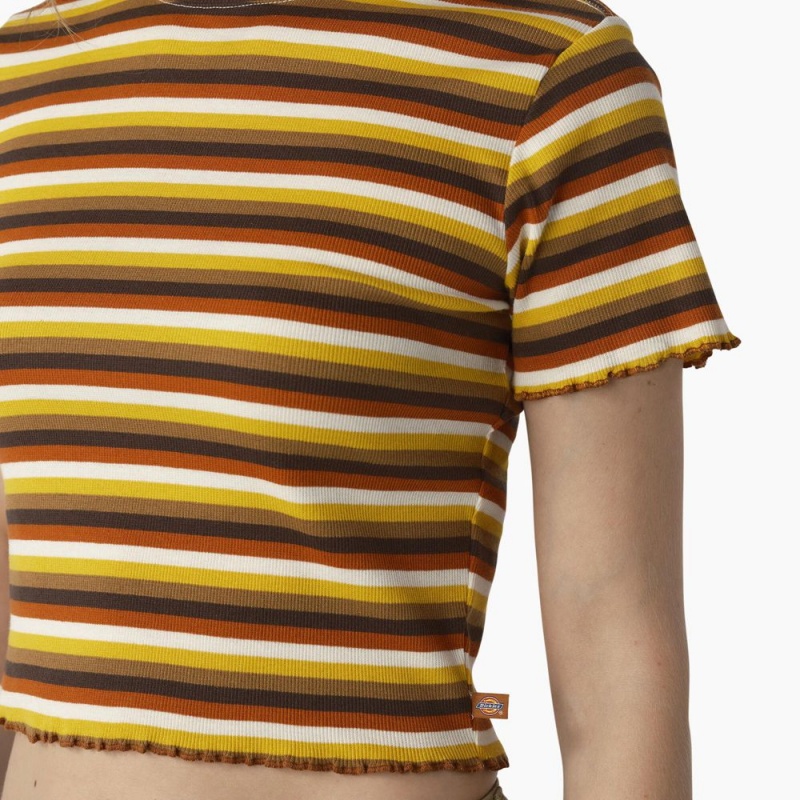 Yellow Women's Dickies Striped Cropped Baby T-Shirt | ROM647325